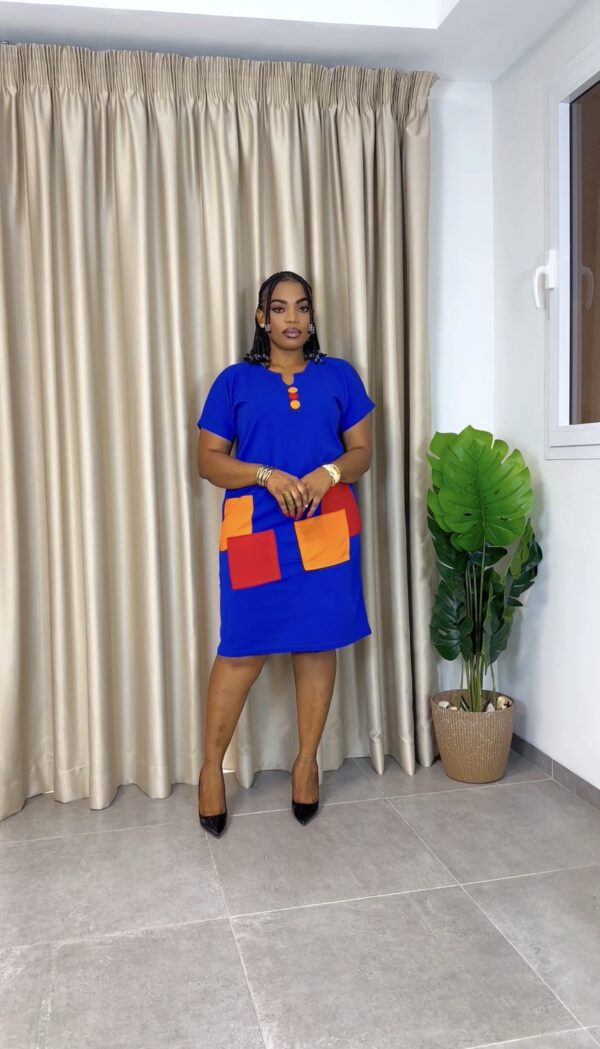 Shift Dress with statement Pockets