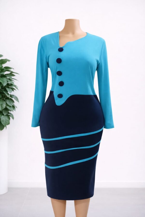 Executive Office Dress 0027