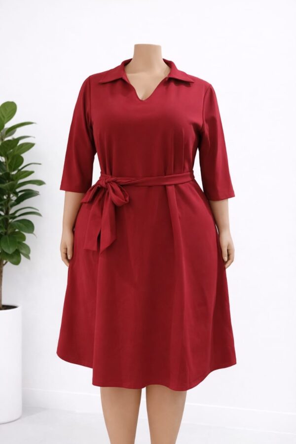 Plus size classy Dress