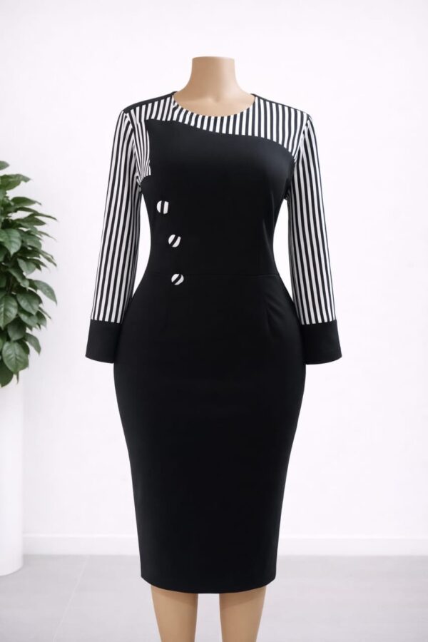 Executive Office Dress 0026